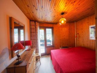 Appartement cosy 2 pièces, balcon sud, proche piscine et pistes, La Clusaz - FR-1-459-114 - 3
