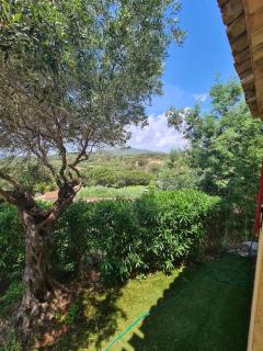 VILLA PROVENCALE AVEC PISCINE PRIVEE - Sainte-Maxime - 9