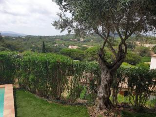 VILLA PROVENCALE AVEC PISCINE PRIVEE - Sainte-Maxime - 6