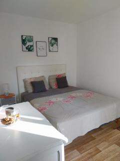 Charmant appartement T2 parc JB Lebas - Lille - 3