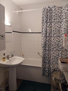 Charmant appartement T2 parc JB Lebas - Lille - 2