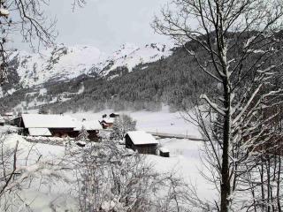 Appartement 3 pièces avec balcon et garage proche des pistes - FR-1-459-142 - La Clusaz - 3