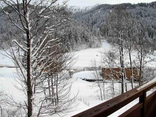 Appartement 3 pièces avec balcon et garage proche des pistes - FR-1-459-142 - La Clusaz - 1