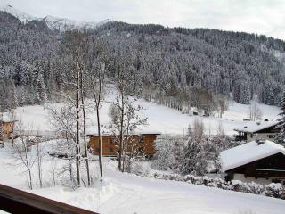 Appartement 3 pièces avec balcon et garage proche des pistes - FR-1-459-142 - La Clusaz - 1