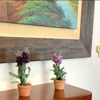 No Centro de Gramado bem pertinho do Natal Luz 77 - 1