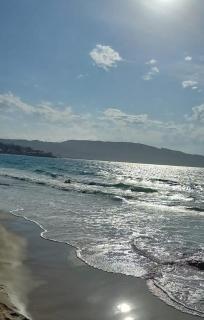 Bombinhas - Bombinhas - 6