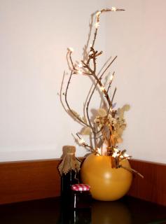 Apartman Maslina - 5