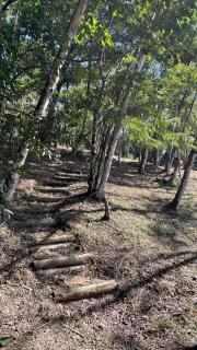 Vila Drávida - 5