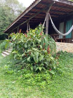 Vila Drávida - 1