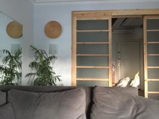 European-Style Luxury Duplex on Maryland Park - 7