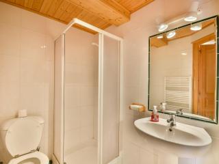 Chalet Herisson - 9 pers - À 100m du Lac des Ecoles et 300m des pistes - FR-1-685-68 - Les Gets - 3