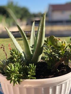 S T A Apartmani - Ulcinj - 1