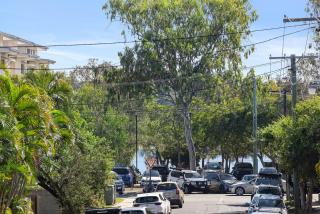 Terrapin Apartments - Noosaville - 3