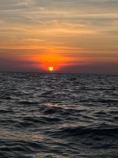 Thani Ecobeach Barú - 2