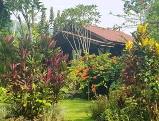 Thousand hills peaceful bungalows and expert jungle treks - 0