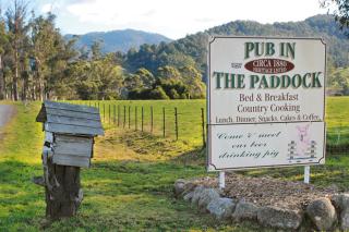 Pub in the Paddock - 4