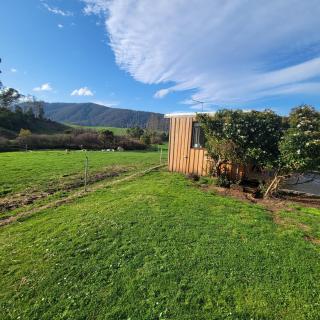 Pub in the Paddock - 7