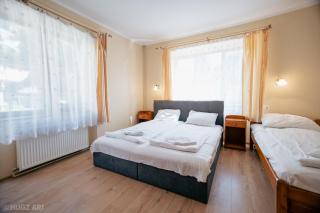 Pensiunea Viktoria - Băile Tuşnad - 1