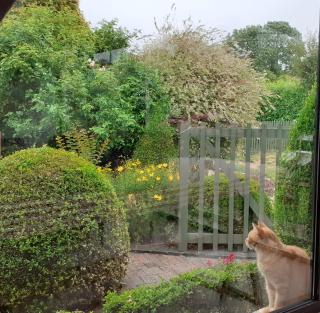 Au p'tit jardin - Saint-Sylvestre-de-Cormeilles - 3