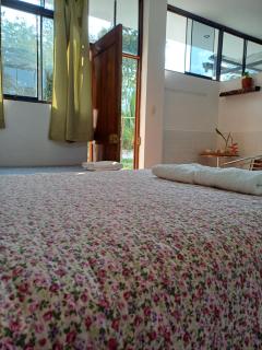 El Cacaotal Finca Faura #5 3H - 4