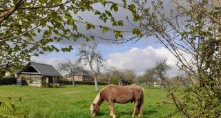 Au p'tit jardin - Saint-Sylvestre-de-Cormeilles - 6