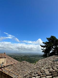 Opio Nel Corso 47 - Montepulciano - 3