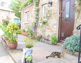 Hazels Roost B&B - Bainbridge - 4