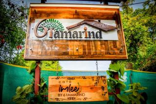 6Tamarind - 8