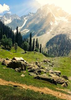 Mitra Sonamarg - Sonāmarg - 8