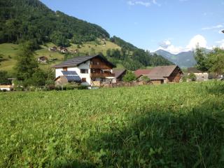 Ferienwohnung Natter in Mellau - 9