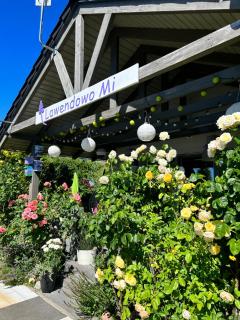 Apartament Różany - 4