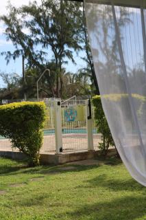 Tilagonbleu à la Saline les Bains - 1