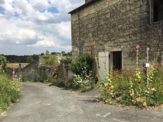 Gîte Bon Accueil, 3 étoiles, Souzay-Champigny 49 - Souzay-Champigny - 6