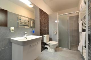 Hotel Palác - Olomouc - 8