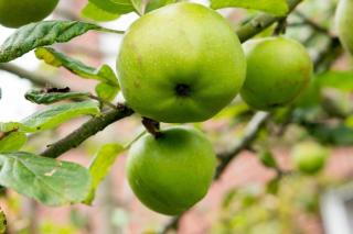 Ferienwohnung Waterkant - 1