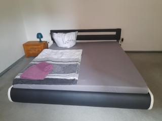 Schöne Wohnung für Monteure und sonstige Reisende - Zwickau - 5