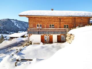 Appartement 4* cosy, terrasse sud, proche pistes, parking, Wi-Fi - FR-1-304-231 - La Clusaz - 6
