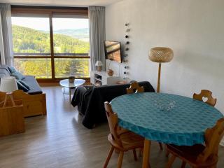 Pied des pistes, beau 2 pièces avec coin montagne - 6 personnes - FR-1-689-21 - Villard-de-Lans - 9