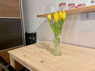 Netanyas One Bedroom Beachside Escape - Netanya - 8
