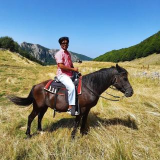 Katun Mokra accommodation & horseback riding - Podgorica - 7