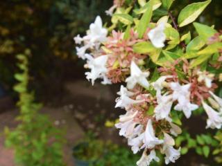 Stay at 12 Guesthouse and Selfcatering - Middelburg - 3