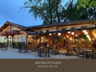 Cosy Apartments & Bistro Pufești - Pufeşti - 9