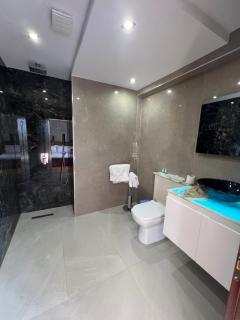 Hotel Victoria - Pogradec - 1