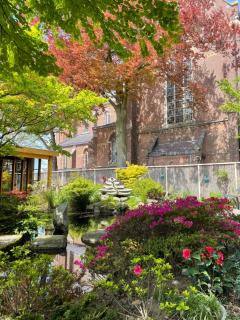 B&B de wetenschap (der gastvrijheid) - - 5
