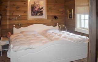 Pet Friendly Home In Nissedal With Wifi - 3