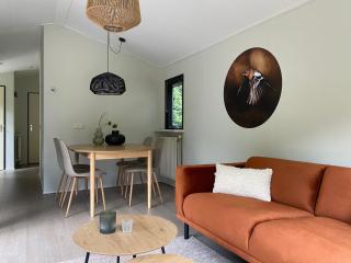 Chalet de Vinck in Diever - Diever - 5