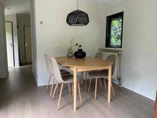 Chalet de Vinck in Diever - 1