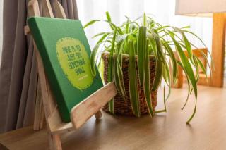 Sunny Modern Apartment Cinnamon Residence - 3