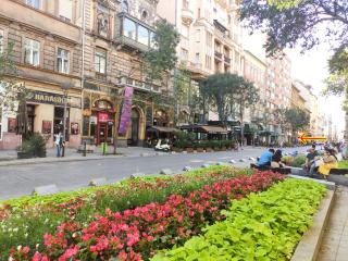 Broadway City Center, Fully Equipped, 4 Person - Boedapest - 7