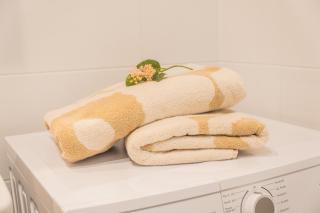 Snowflake suites III - Season worker apartments for long term rental - 3
